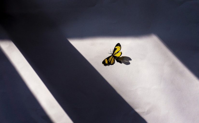 Okna – jak należy dokonać wyboru?