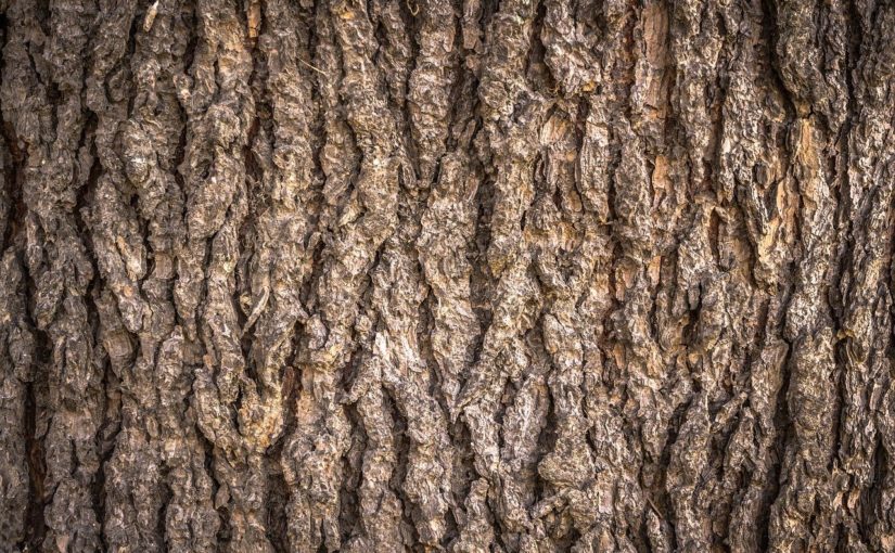 Prześliczny oraz {estetyczny zieleniec to nie lada wyzwanie, w szczególności jak jego pielęgnacją zajmujemy się sami.