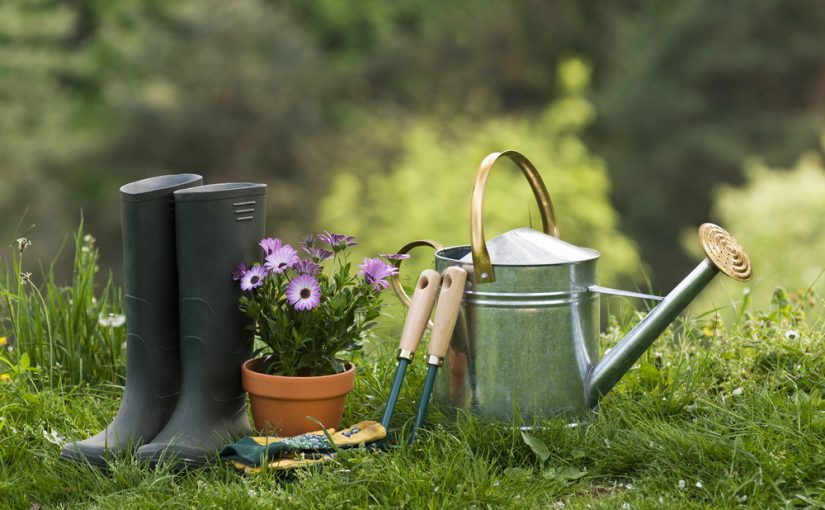 W jaki sposób zaprojektować przestrzeń zieloną? Rozbudowany poradnik dla miłośników zieleni